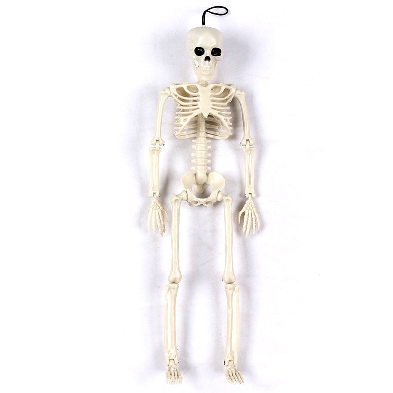 Human Skeleton Scary Bones Poseable Hanging Halloween Prop Party Decorations