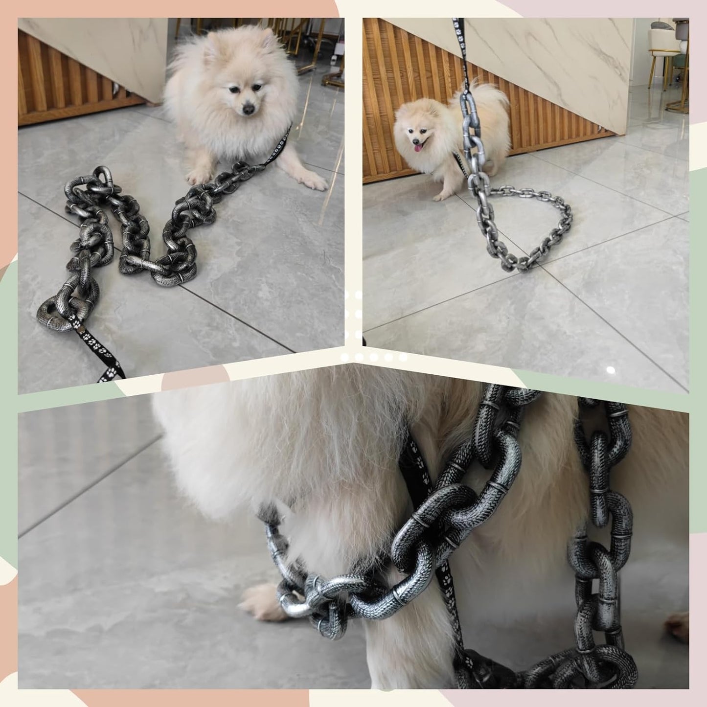 🐶The Chain Paws - Funniest Pet Chain🔒