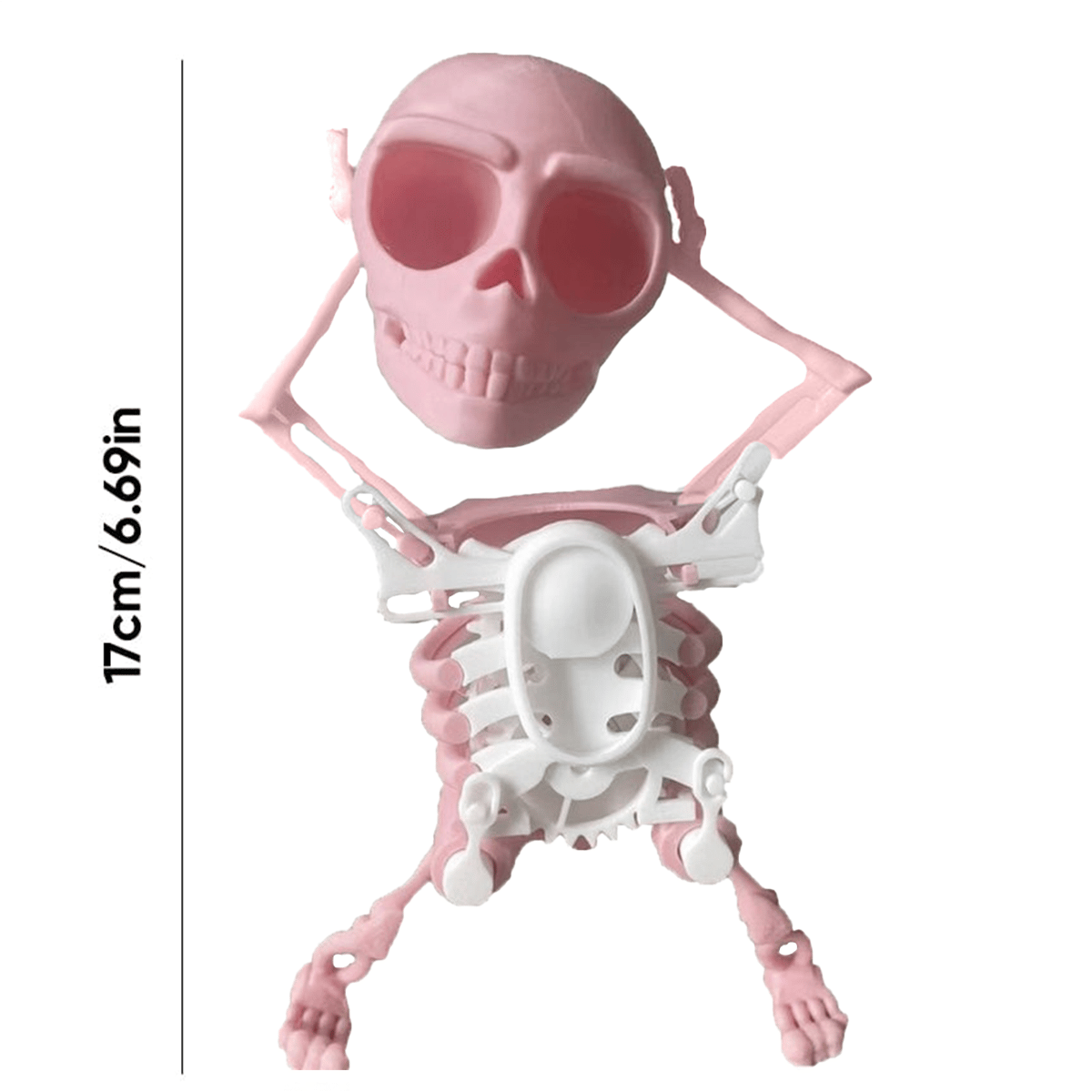 Dancing and Swinging 3D Skull Toy🎉