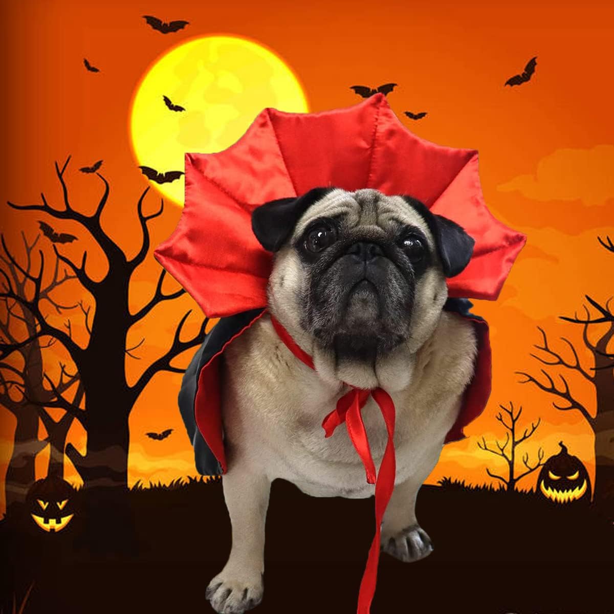 🏆 Halloween Hot Sale⚡Halloween Pet Cloak – Vampire Costume for Dogs & Cats