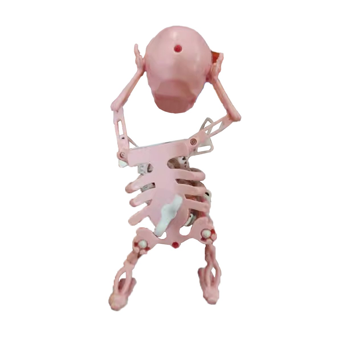 Dancing and Swinging 3D Skull Toy🎉