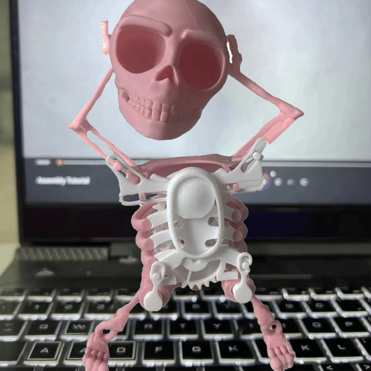 Dancing and Swinging 3D Skull Toy🎉