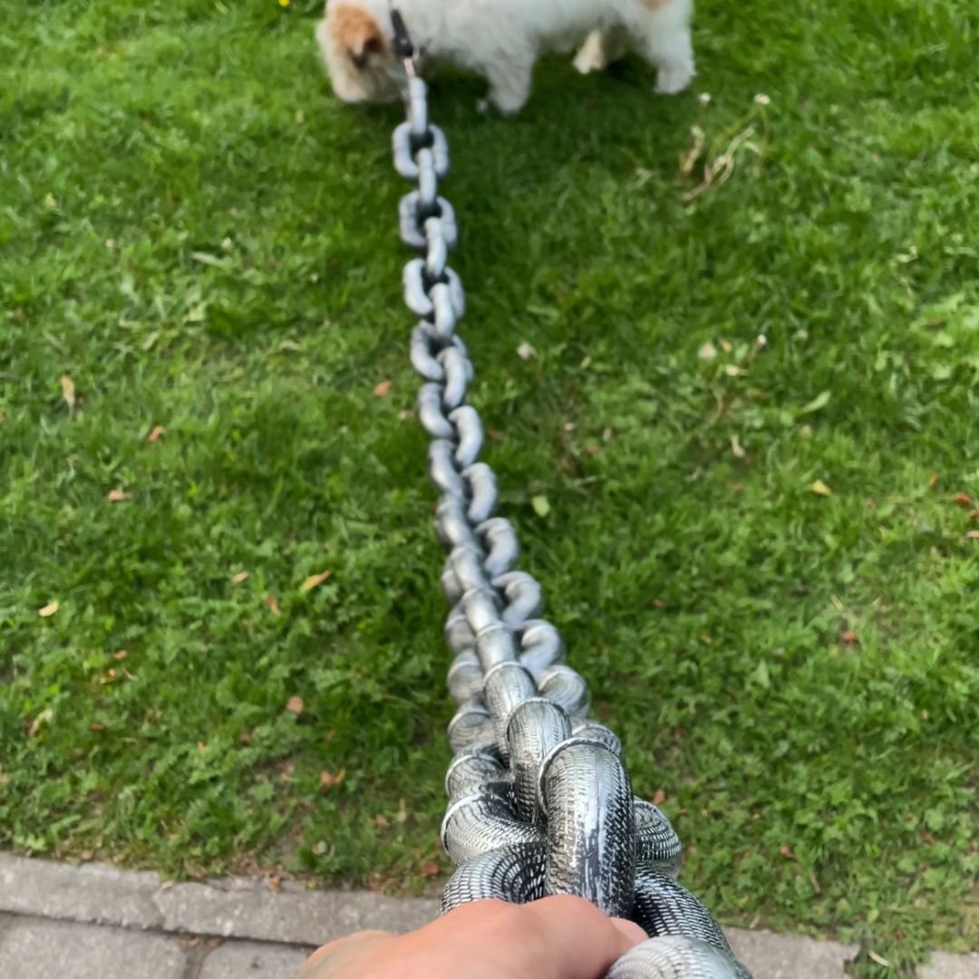 🐶The Chain Paws - Funniest Pet Chain🔒