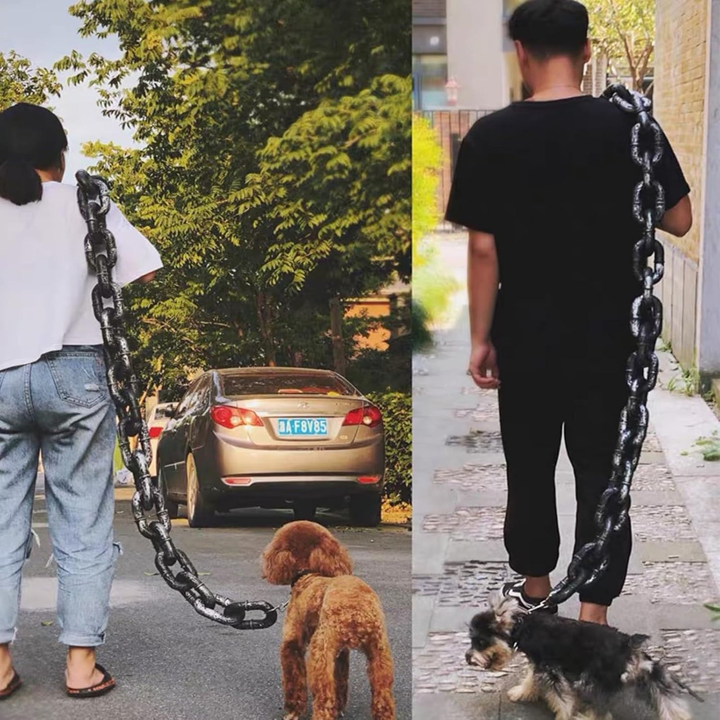 🐶The Chain Paws - Funniest Pet Chain🔒