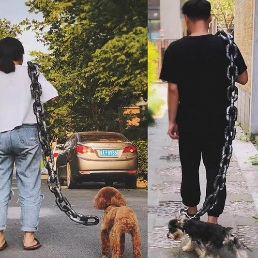 🐶The Chain Paws - Funniest Pet Chain🔒