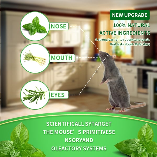 12 Pack Peppermint Pest Repellent Balls - Mice Rats Spiders Gone! 🌿