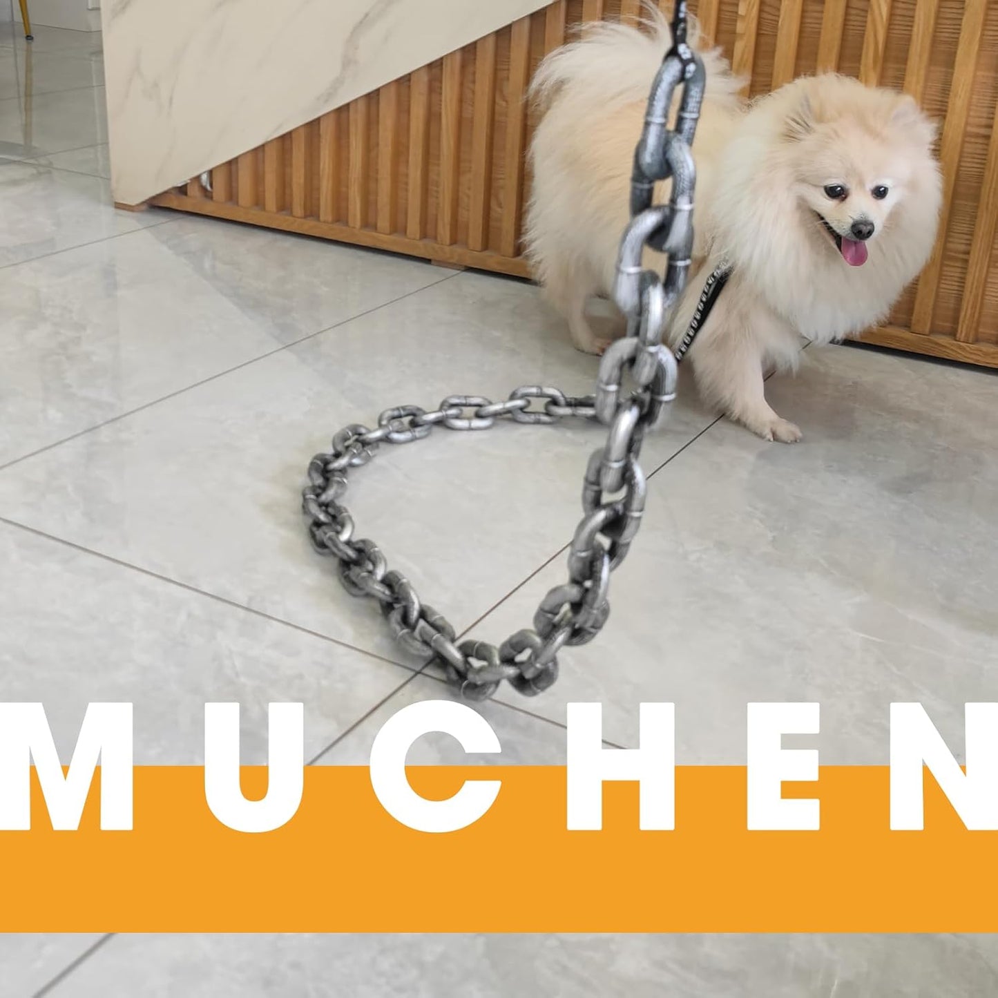 🐶The Chain Paws - Funniest Pet Chain🔒
