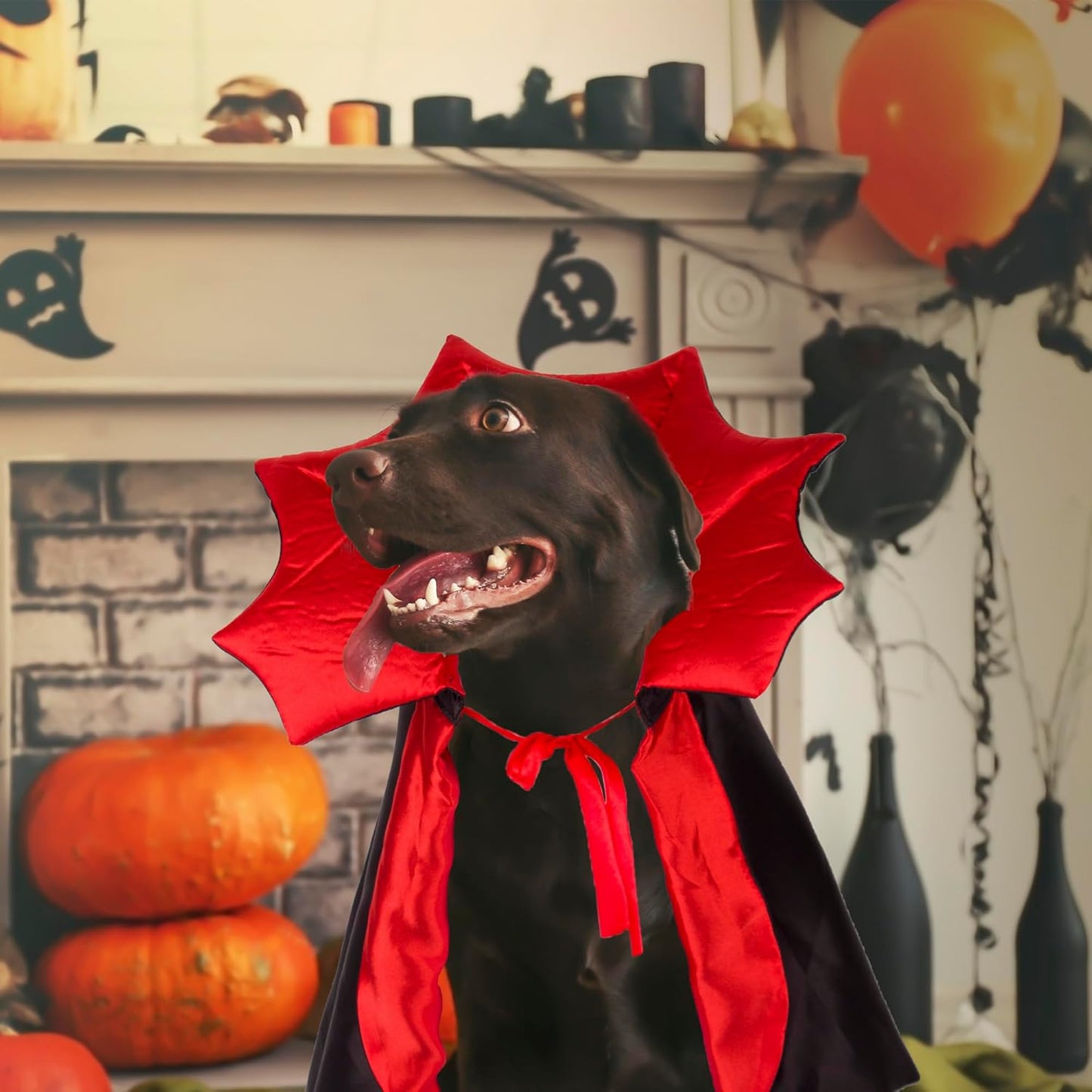 🏆 Halloween Hot Sale⚡Halloween Pet Cloak – Vampire Costume for Dogs & Cats