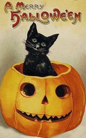 Halloween Decorations