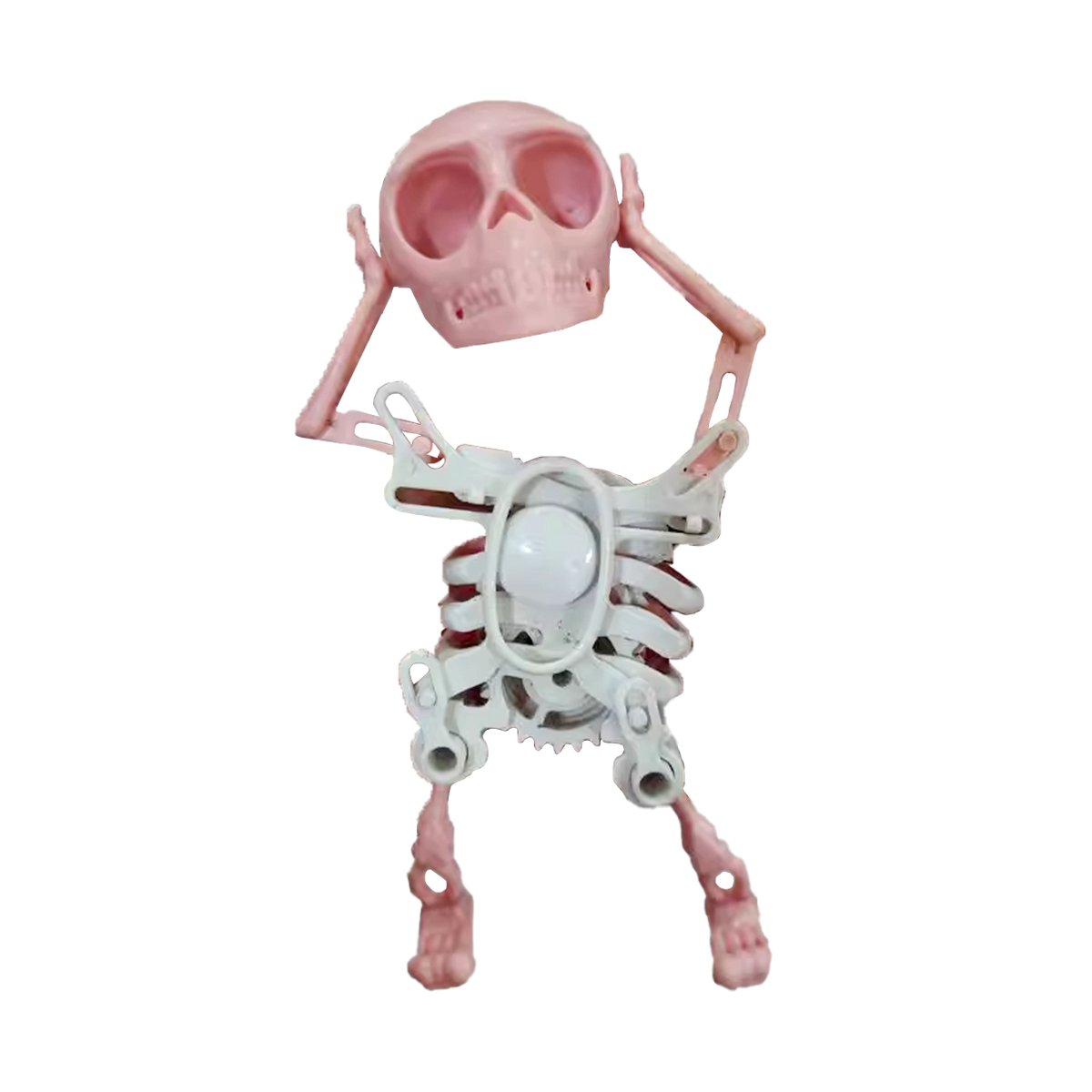 Dancing and Swinging 3D Skull Toy🎉